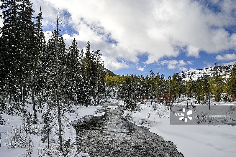 美国俄勒冈州德舒特国家森林的图马洛溪图片素材