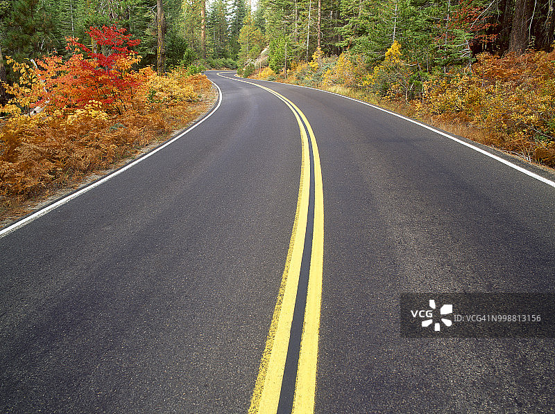 优胜美地国家公园秋色公路（提奥加路，美国加利福尼亚州）图片素材