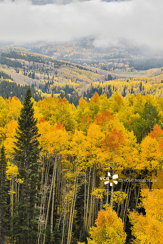 科罗拉多州克雷斯特德比特的秋色与雾气图片素材