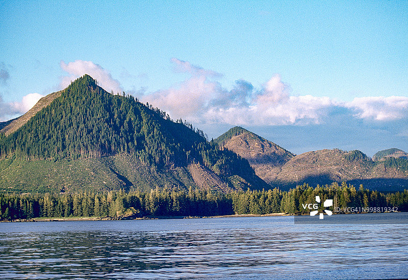 美国华盛顿州奥林匹克国家公园的采伐区图片素材