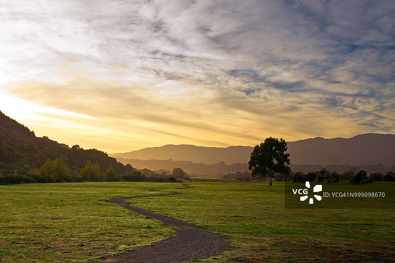 秋日河畔公园的树木与小路图片素材