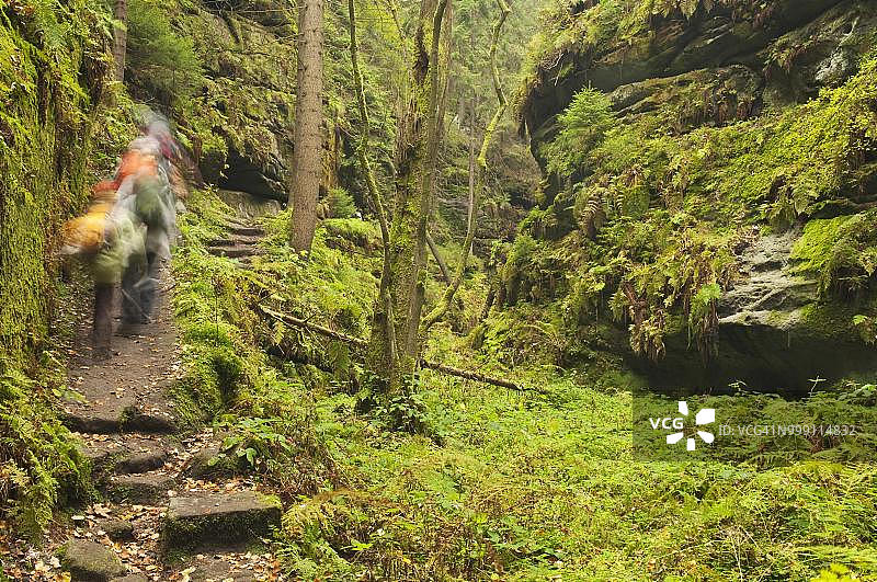 德国萨克森州萨克森瑞士Teufelsgrund峡谷的徒步者，秋季图片素材