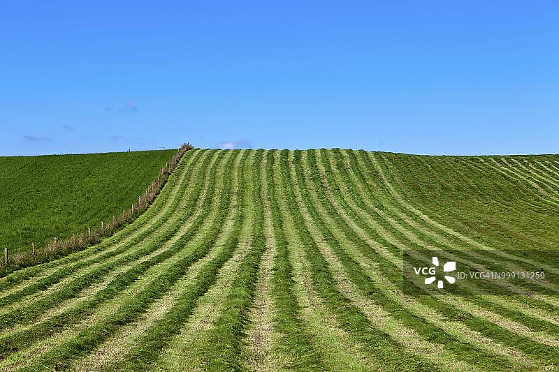 德国上巴伐利亚韦索布伦附近收割后的田地图片素材