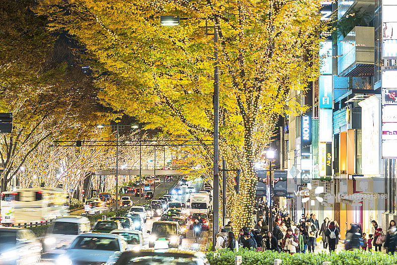 东京表参道街头，人们在被灯光照亮的秋叶树下行走，迎接冬季节日图片素材