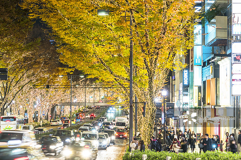 东京表参道街头，人们在被灯光照亮的秋叶树下行走，迎接冬季节日图片素材