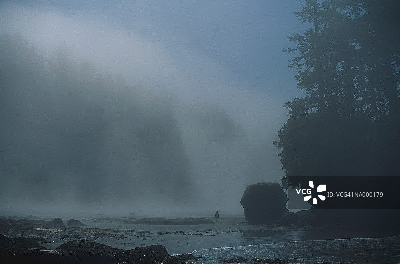 美国俄勒冈州雾中的舌头角图片素材