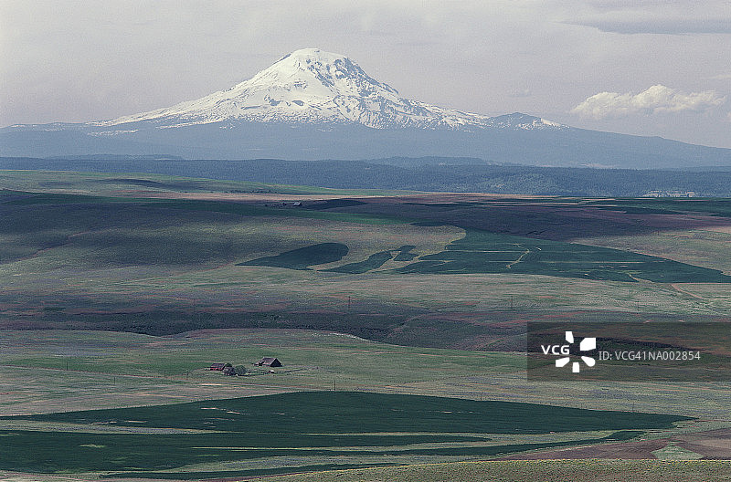 华盛顿亚当斯山附近的农田图片素材