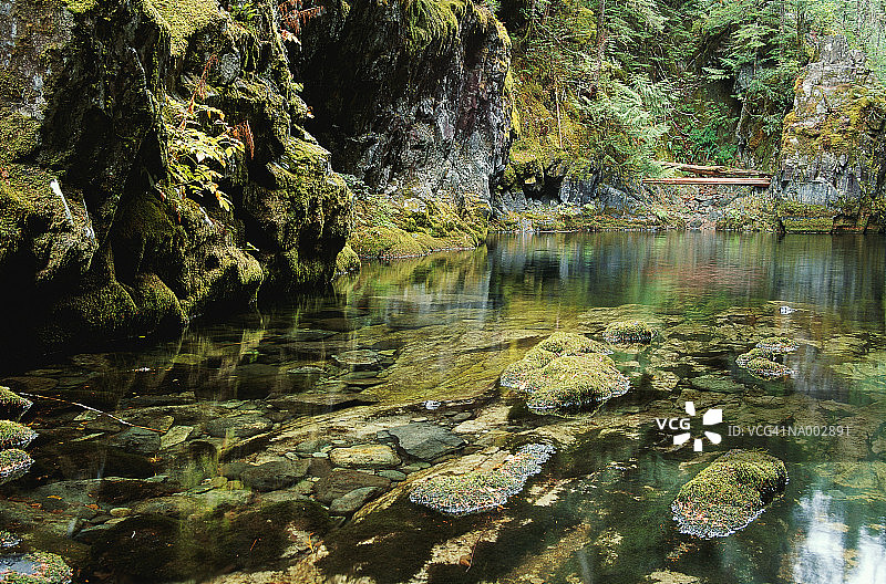 奥帕尔溪，俄勒冈州图片素材