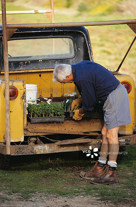 花卉苗圃工人图片素材