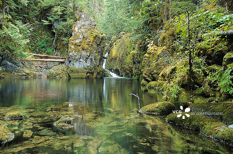 俄勒冈州欧泊溪图片素材
