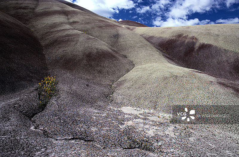 俄勒冈州的彩绘山图片素材