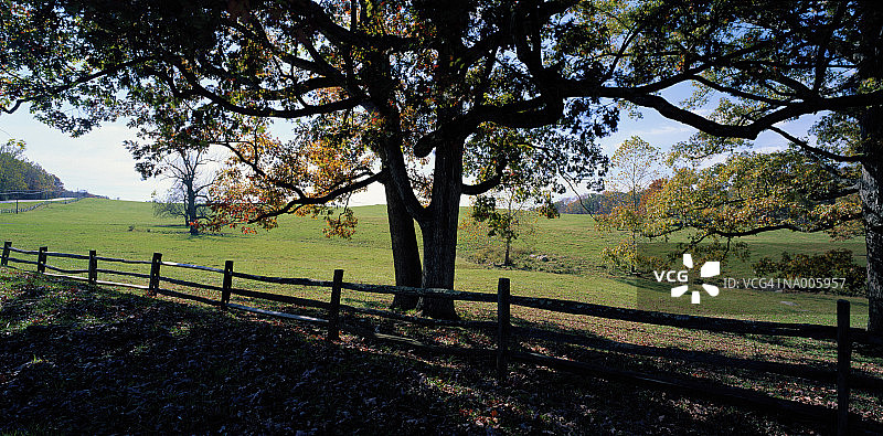弗吉尼亚州米德尔堡的秋季牧场图片素材