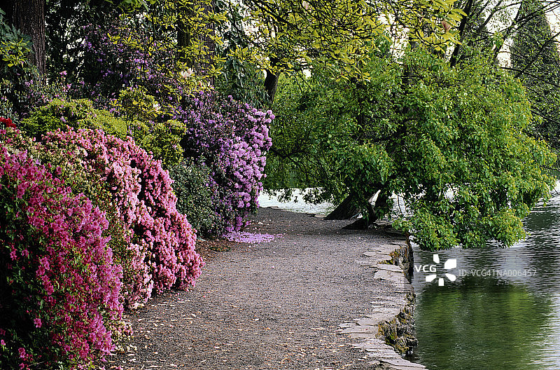 水晶泉花园图片素材