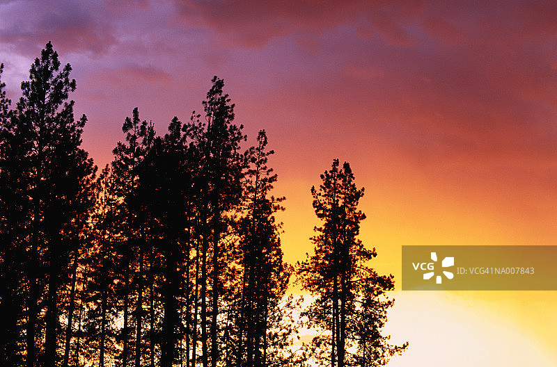 爱达荷州普里斯特湖的日落图片素材