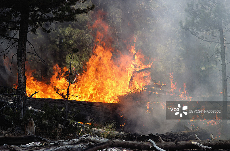 森林大火图片素材