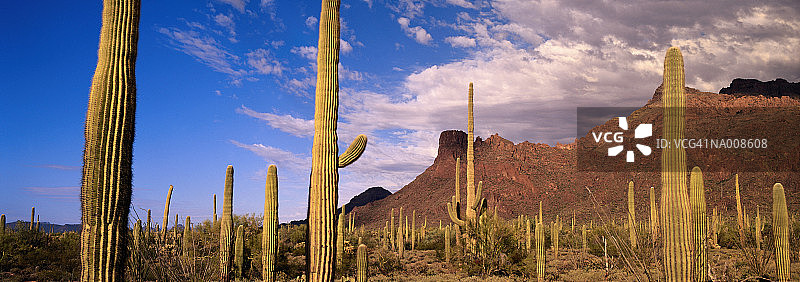 风琴管州立公园图片素材