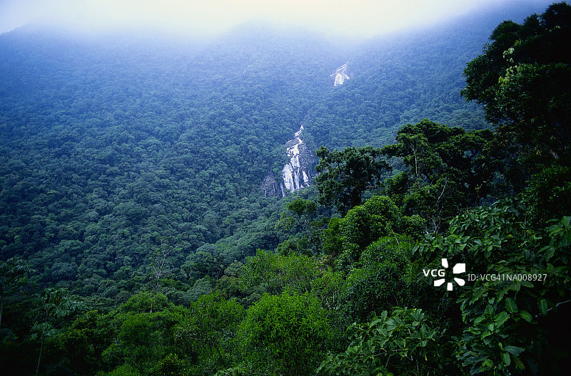 亚马逊丛林图片素材