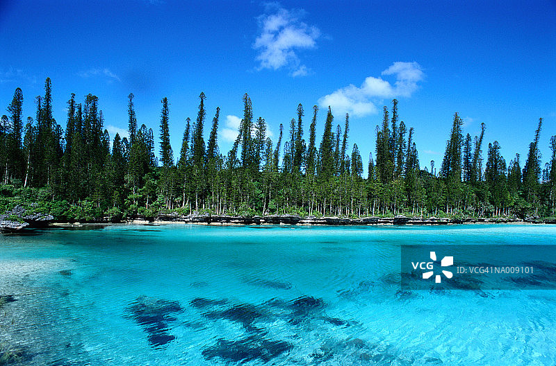 新喀里多尼亚松树岛图片素材