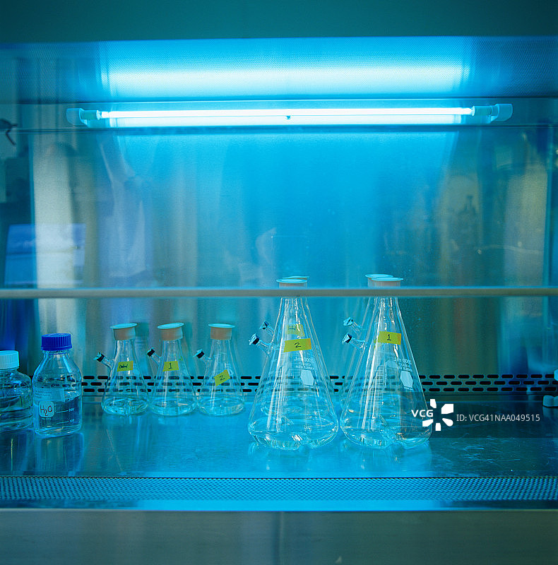 研究实验室蓝光下的玻璃烧杯图片素材