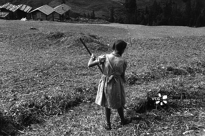 瑞士收割机图片素材