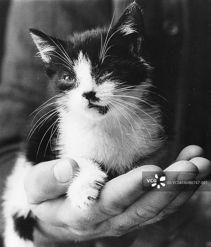 Maudsley图片素材