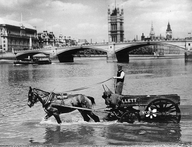 泰晤士河畔的马图片素材