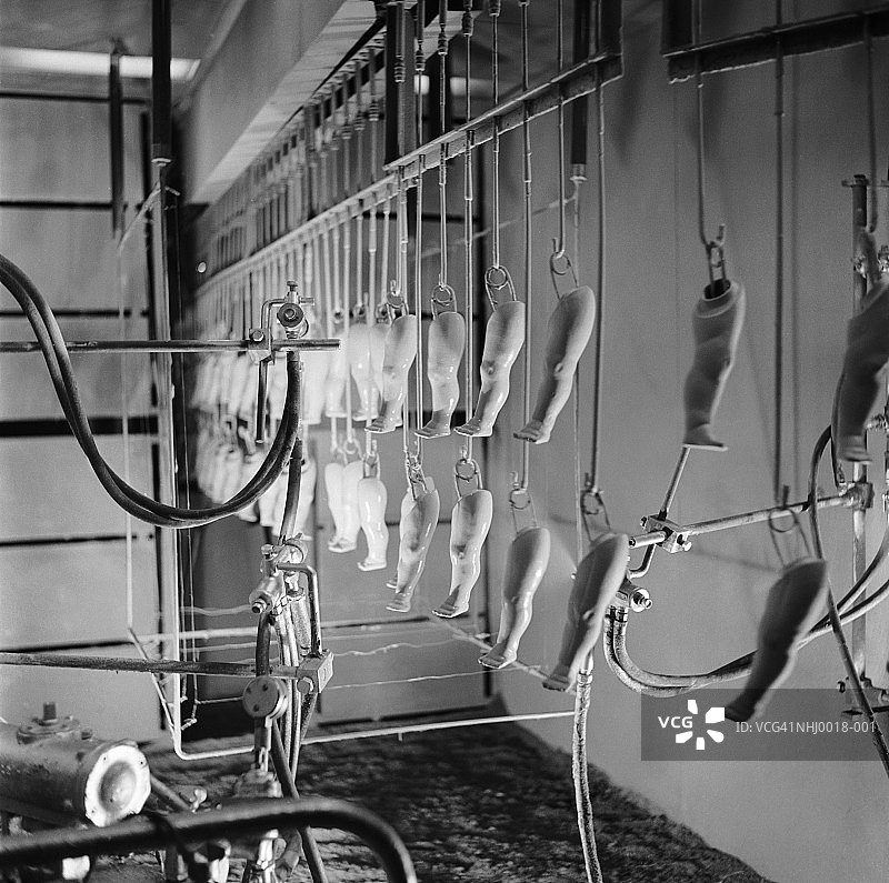 腿部制作图片素材