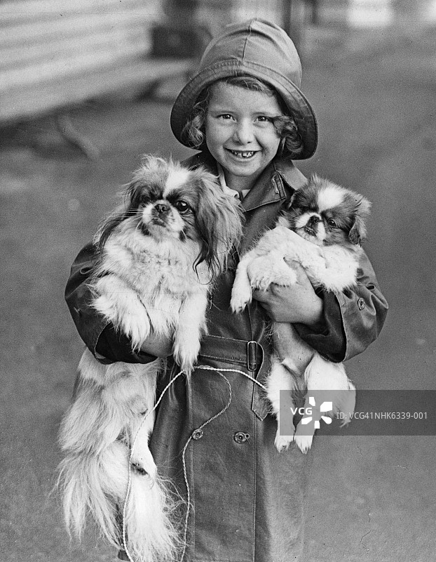 手持北京犬图片素材