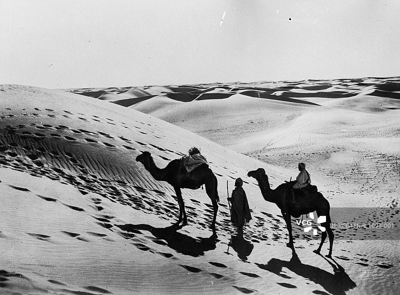 撒哈拉沙漠骆驼图片素材