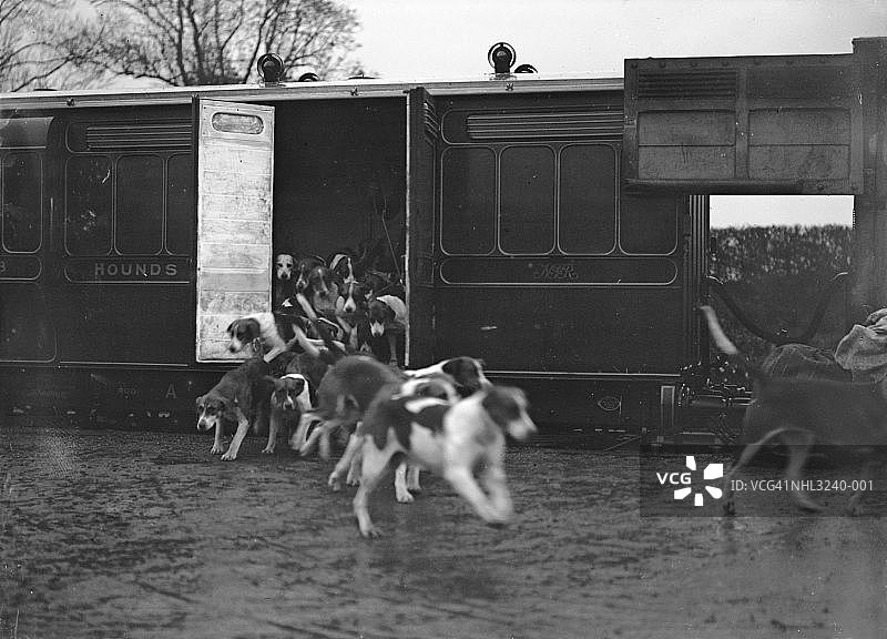 猎犬到达图片素材