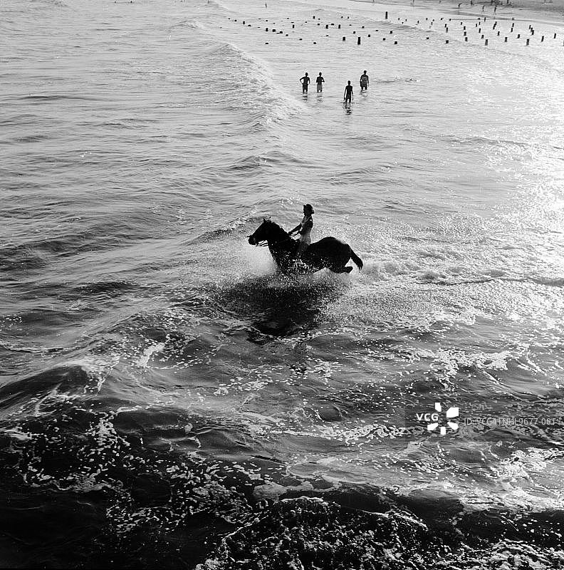 水上马术图片素材