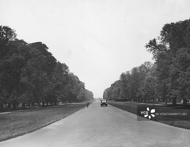 布什公园图片素材