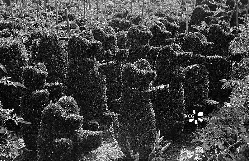 泰迪熊造型图片素材