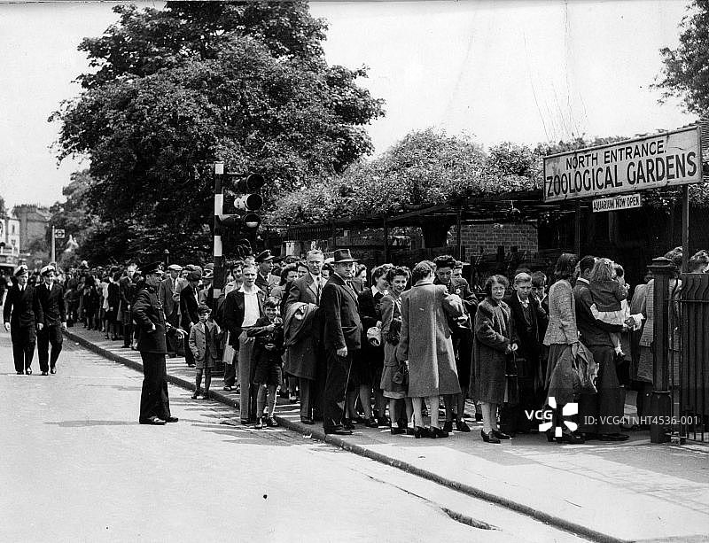 动物园排队图片素材