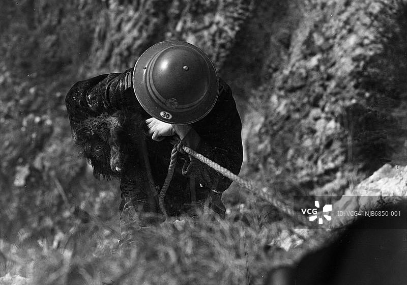 拯救小狗图片素材