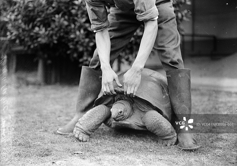 害羞的相机图片素材