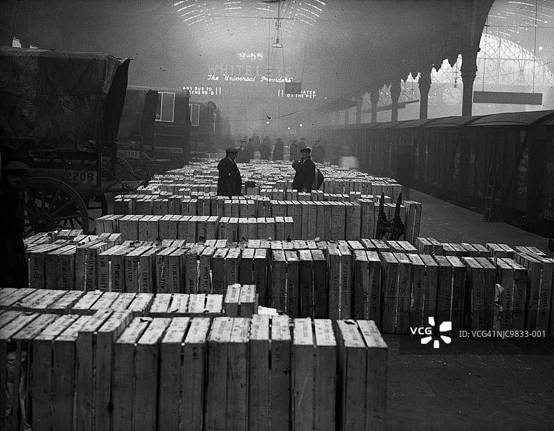 大量的火鸡图片素材