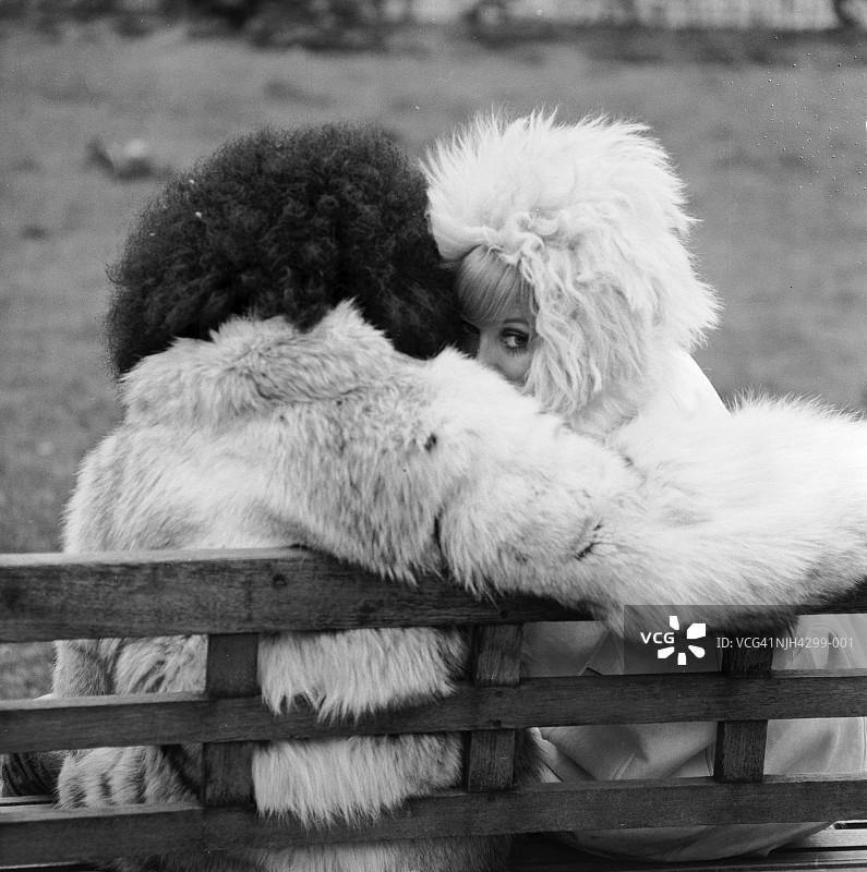 偷偷一瞥图片素材