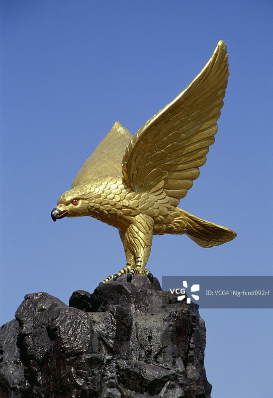 阿曼 - 猎鹰图片素材