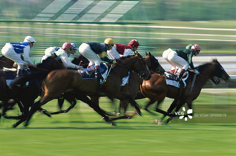 草地赛马侧视图图片素材