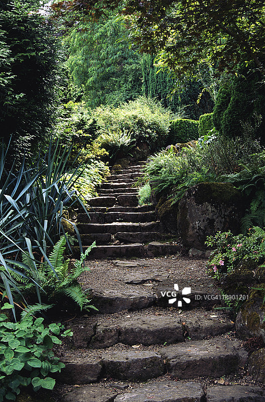 花园里的阶梯图片素材