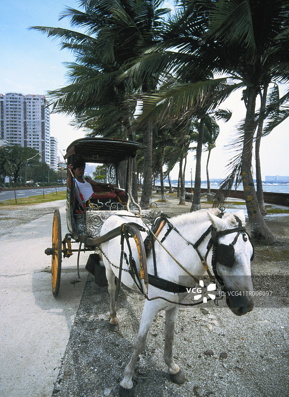 马拉马车图片素材