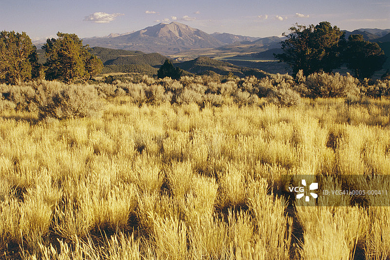索普瑞斯山和草原图片素材
