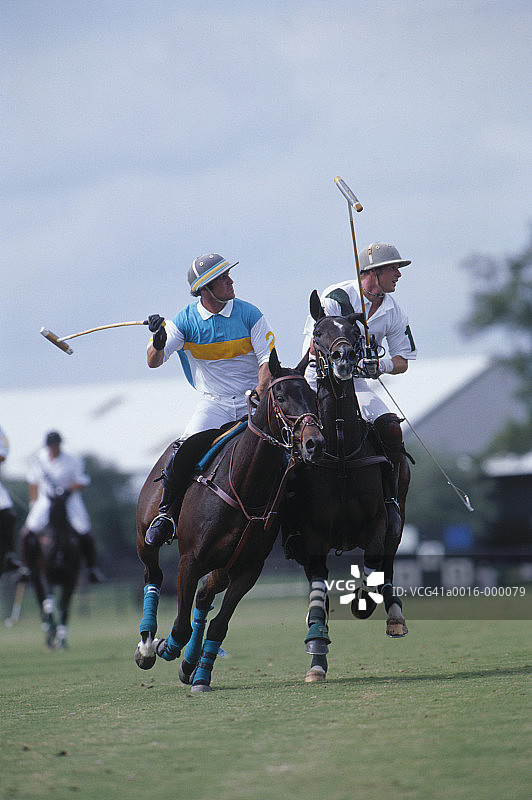 马球场上的运动员图片素材