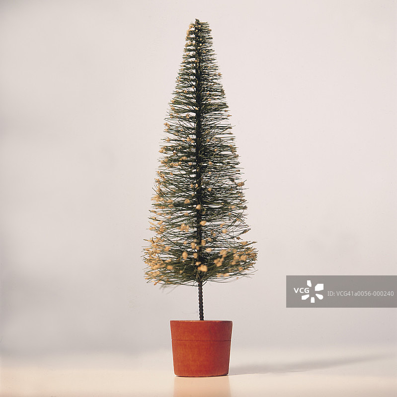 圣诞树图片素材