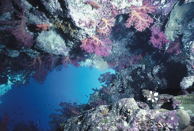 珊瑚洞穴图片素材