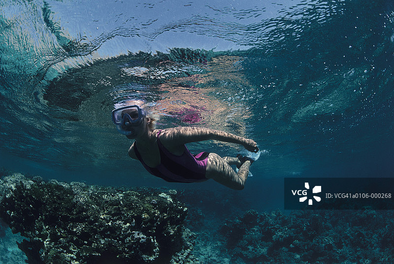 在珊瑚上游泳的女人图片素材