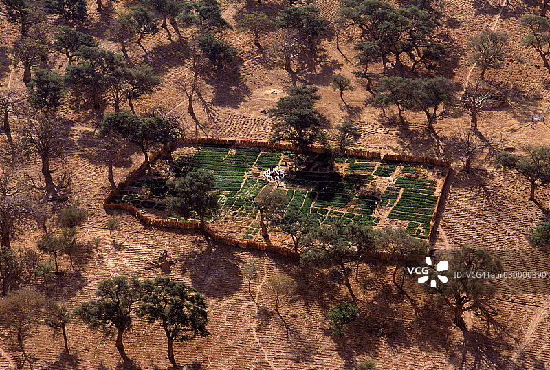 非洲伊雷利村洋葱田鸟瞰图图片素材