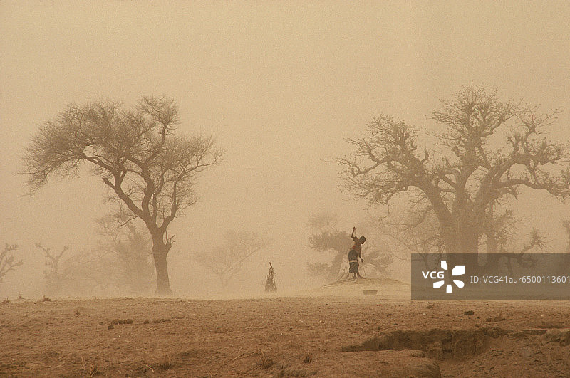 马里，多贡地区，尤迪乌，从井里打水的人图片素材