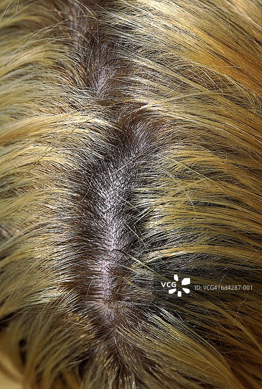 金发发缝特写，俯视角度图片素材